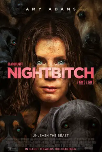 Nightbitch Image