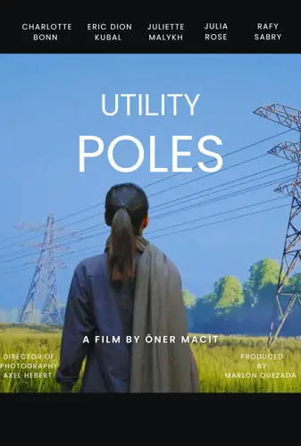 Utility Poles Image