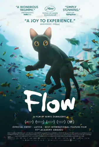 Flow Image