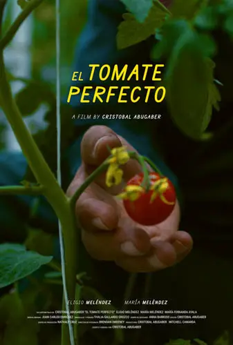 The Perfect Tomato Image