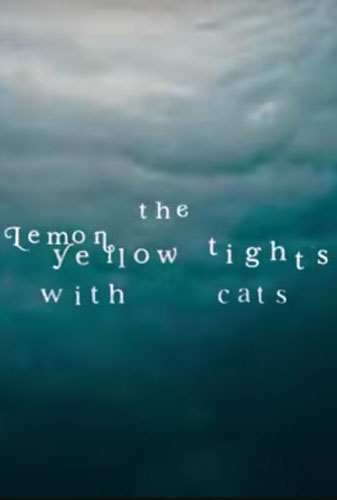 The Lemon Yellow Tights with Cats  Image