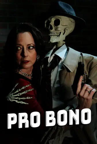Pro Bono Image
