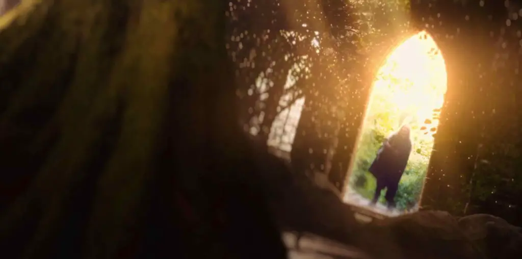 The Green Knight image