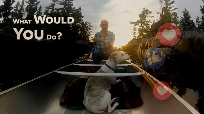 Abby’s List: A Dogumentary Image