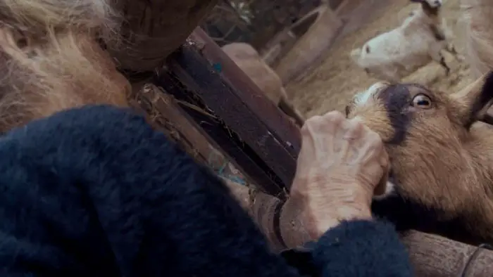Brigitte Bardot feeds a goat at her animal sanctuary in Bardot documentary