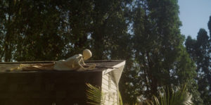My Neighbor’s Yard Image
