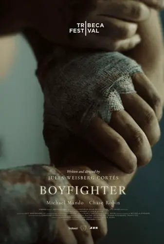 Boyfighter Image
