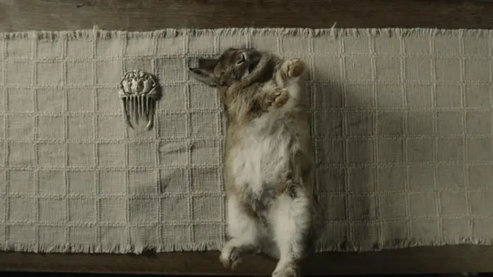 A magical pearl comb next to a rabbit on a table in The Pearl Comb.