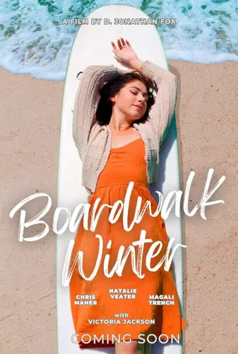 Boardwalk Winter Image