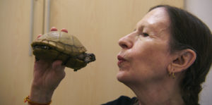 Monk In Pieces Image