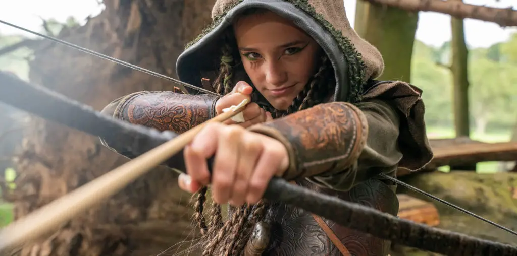 Robin and the Hoods image