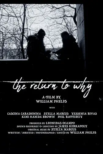 The Return to Why Image