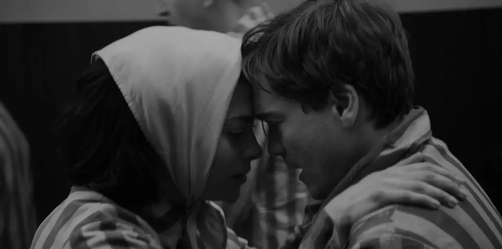 Bau, Artist At War image