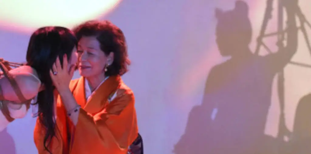 Dawn of the Felines image