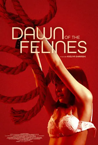 Dawn of the Felines  Image