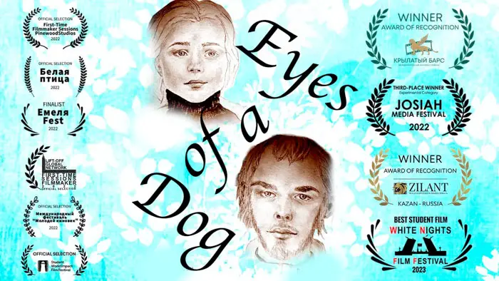 Eyes of a Blue Dog Image