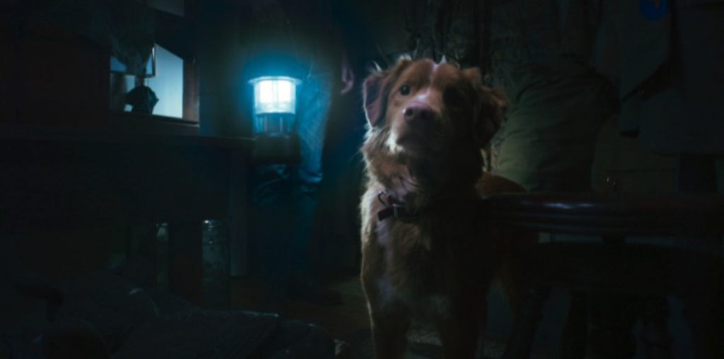 Good Boy image