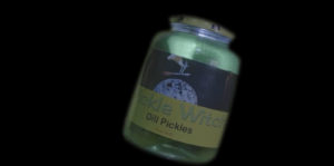 Pickle Vision Image