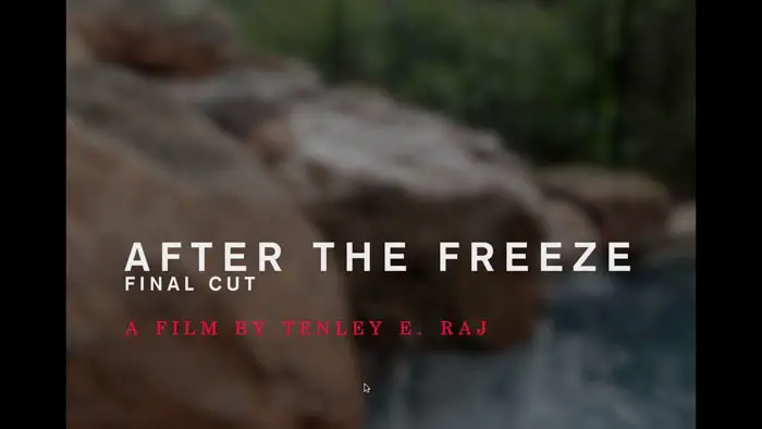 After the Freeze  Image