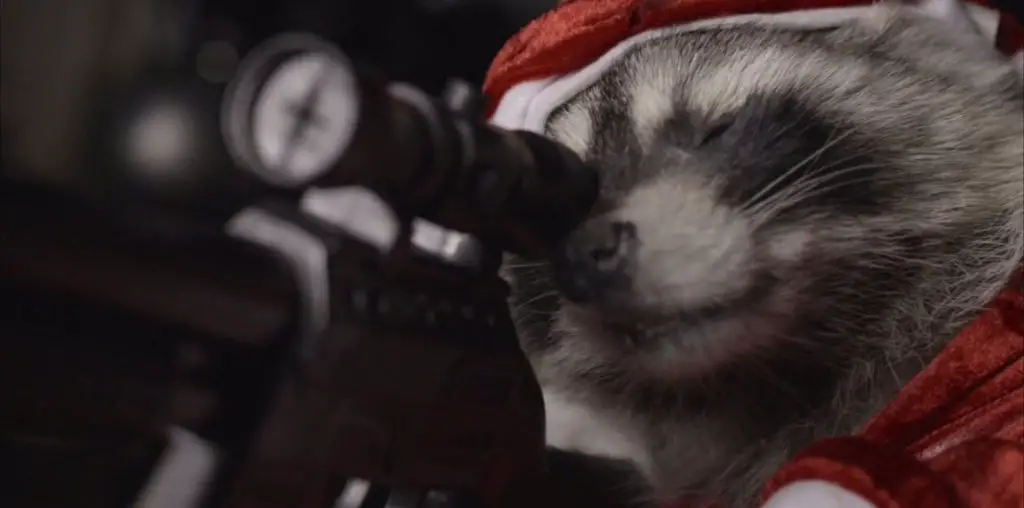 Killer Raccoons 2: Dark Christmas in the Dark image