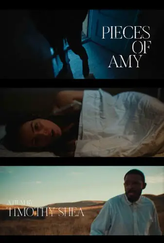 Pieces of Amy Image