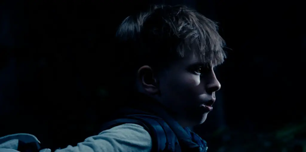 The Wildman of Shaggy Creek image