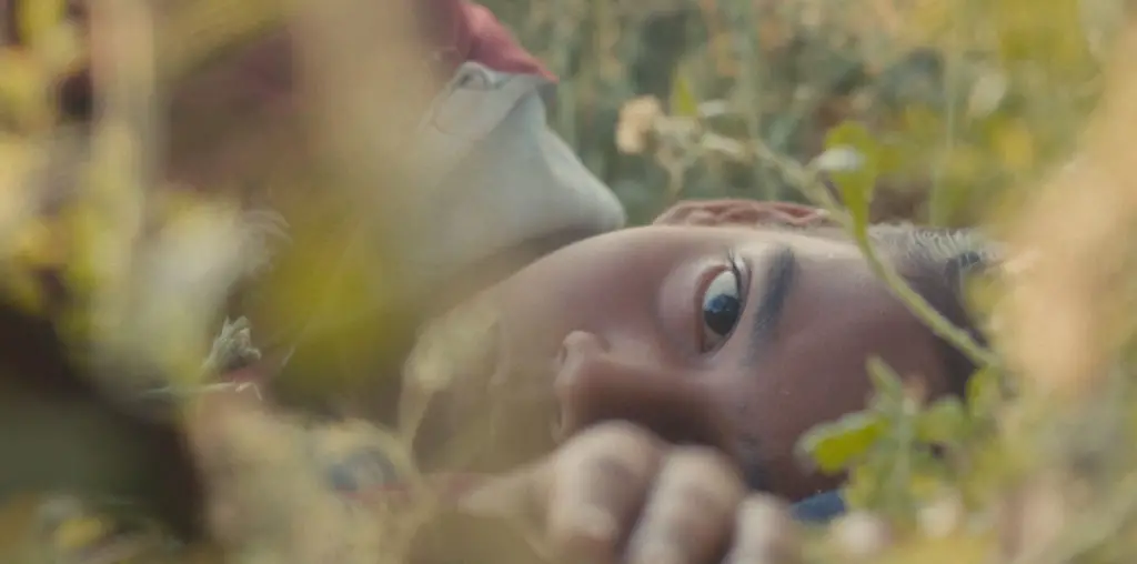 Humans in the Loop image