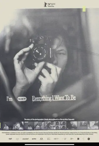 I’m Not Everything I Want To Be Image