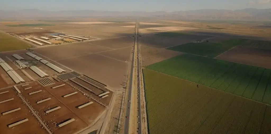 Pistachio Wars image