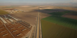 Pistachio Wars Image