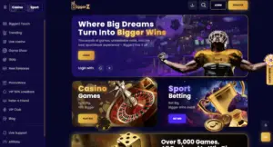 Which Bitcoin Casinos Offer the Most Reliable Verification and Support Image