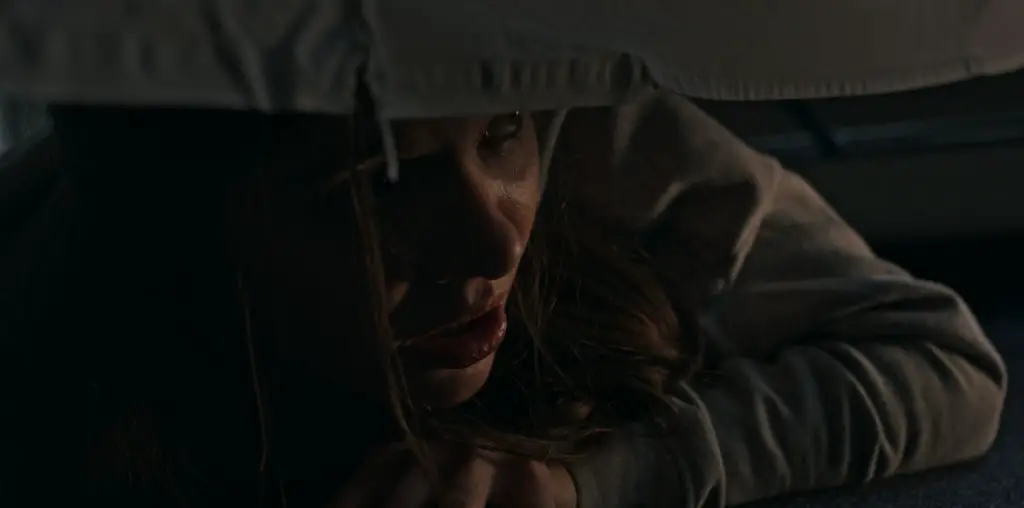 Diabolical (Diabolisch) image