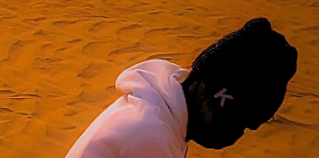 Dust Will Remember Me image