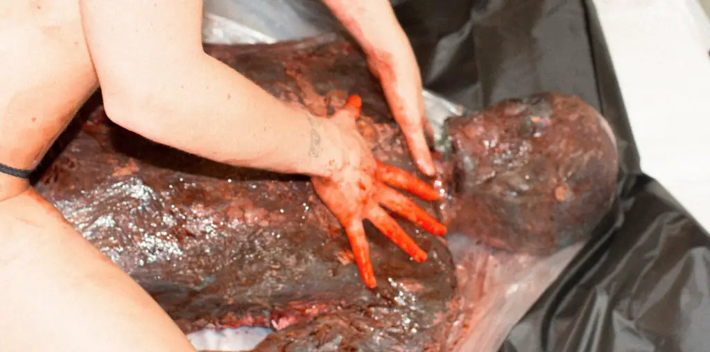 Exhumed Cadaver Lover image