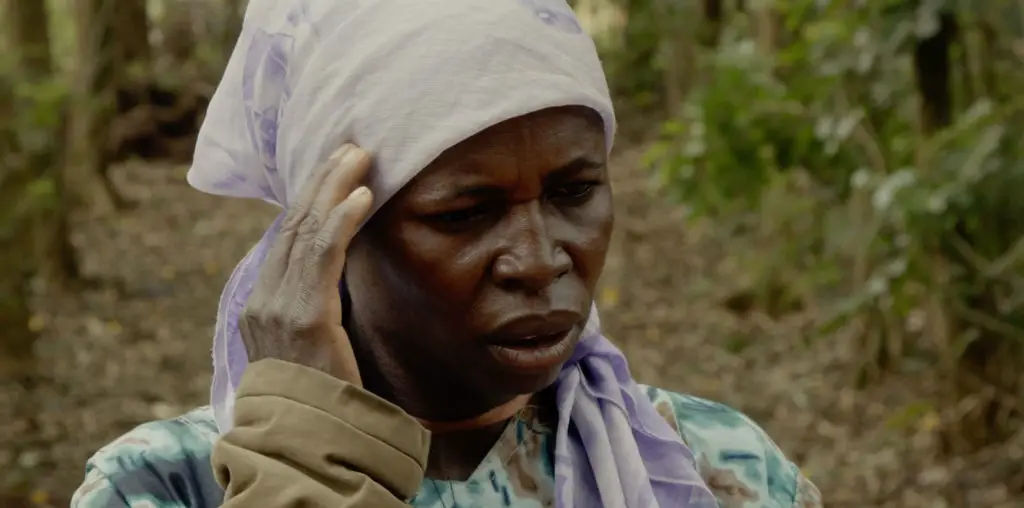 Seeds From Kivu image