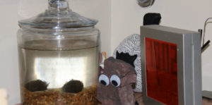 The Freedom of Uselessness (30 Minute Cut) Image