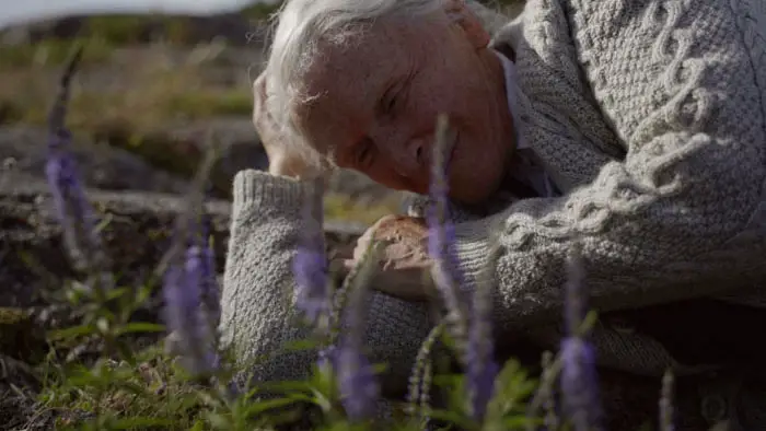 The Summer Book Image