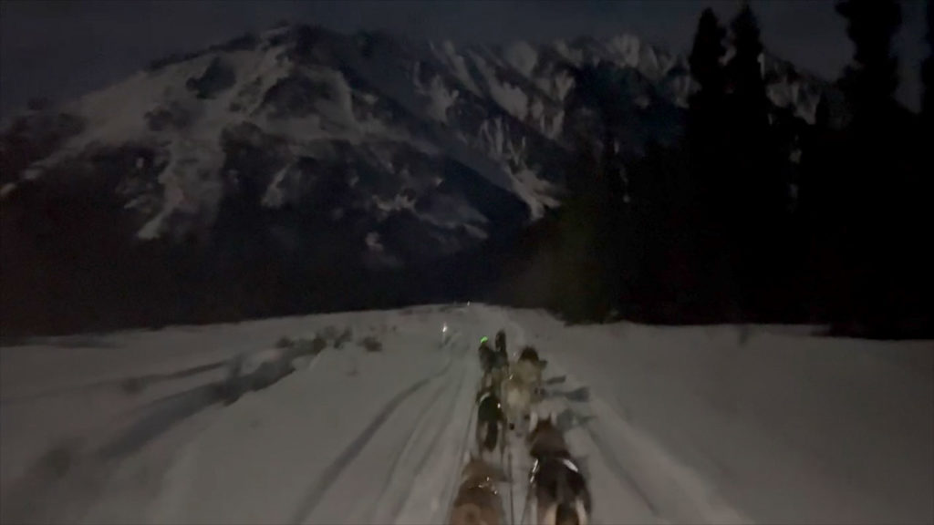 Without Warning image