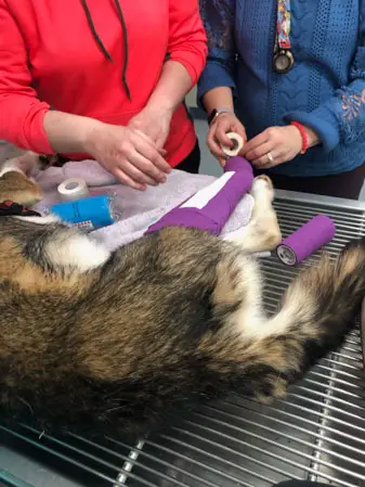 Without Warning Image