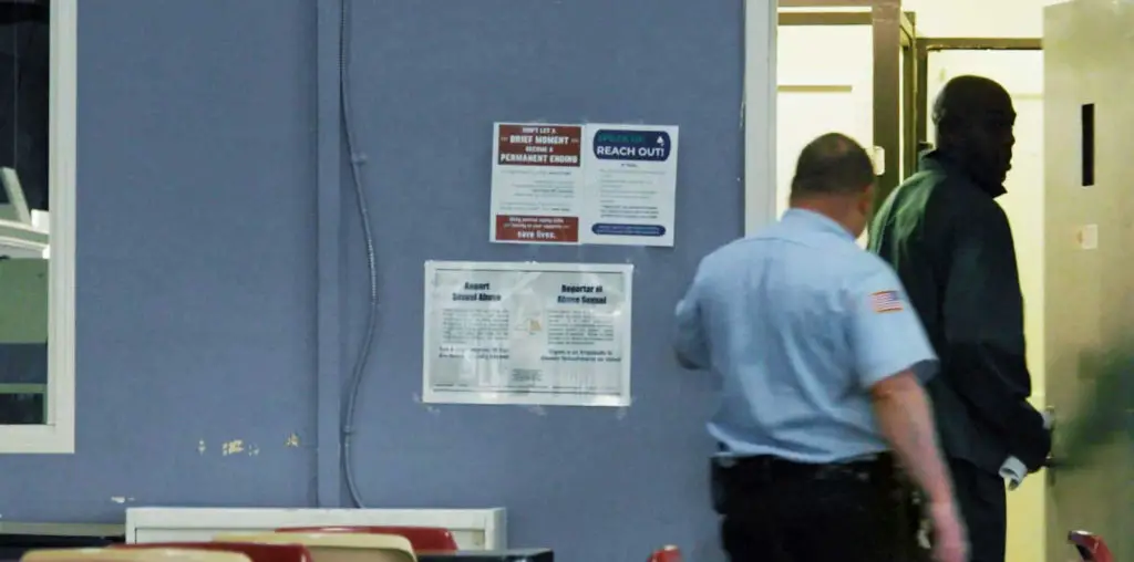 In Exchange for Flesh image