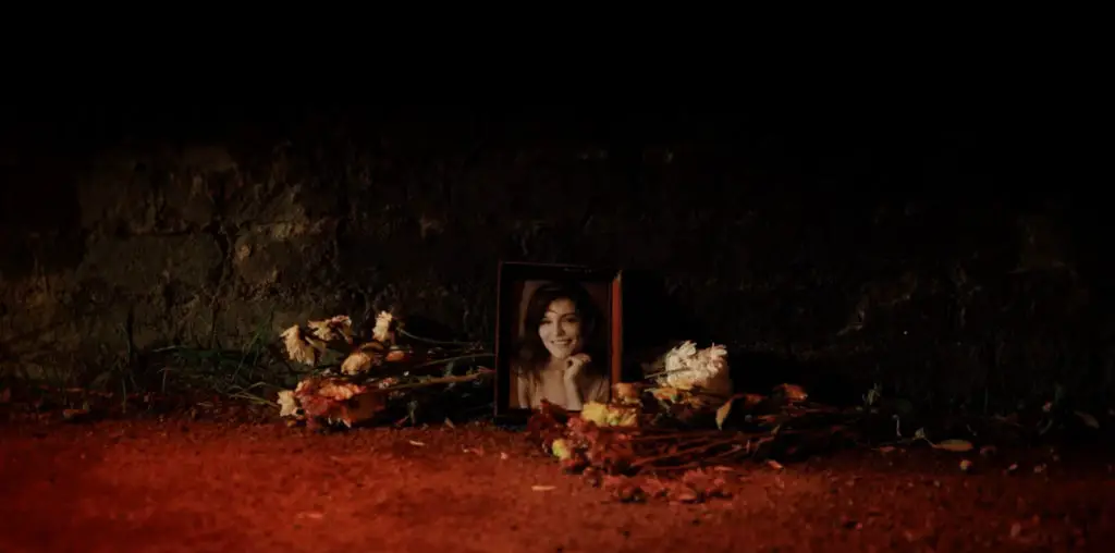 Marion’s Lilies image