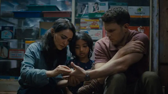 A Mosquito in the Ear Image