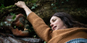 Gale: Yellow Brick Road Image