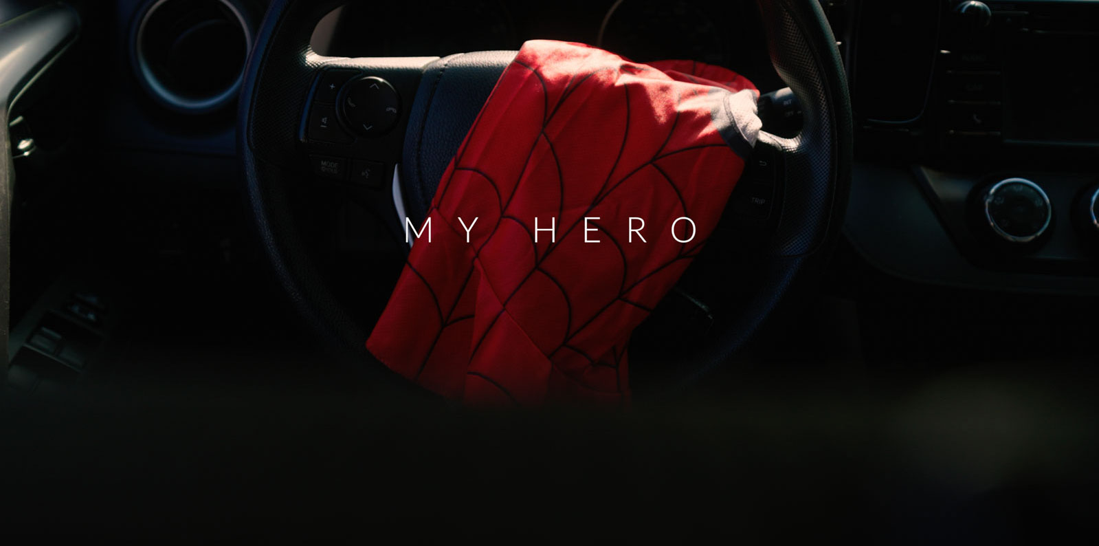 My Hero Image